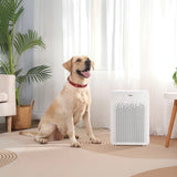GermGuardian - Air Purifier with HEPA Filter and Odor Control, 2 Pack product image 6