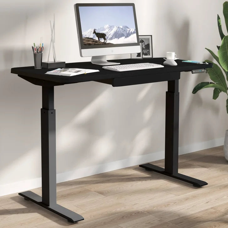 Motionwise 121.9 cm x 61 cm (48 in. x 24 in.) Height Adjustable Desk product image 1